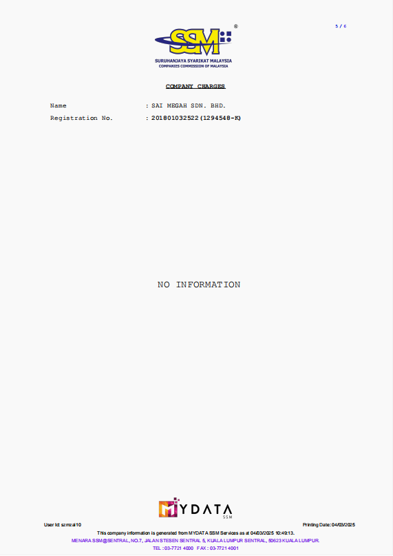 SSM Business Information