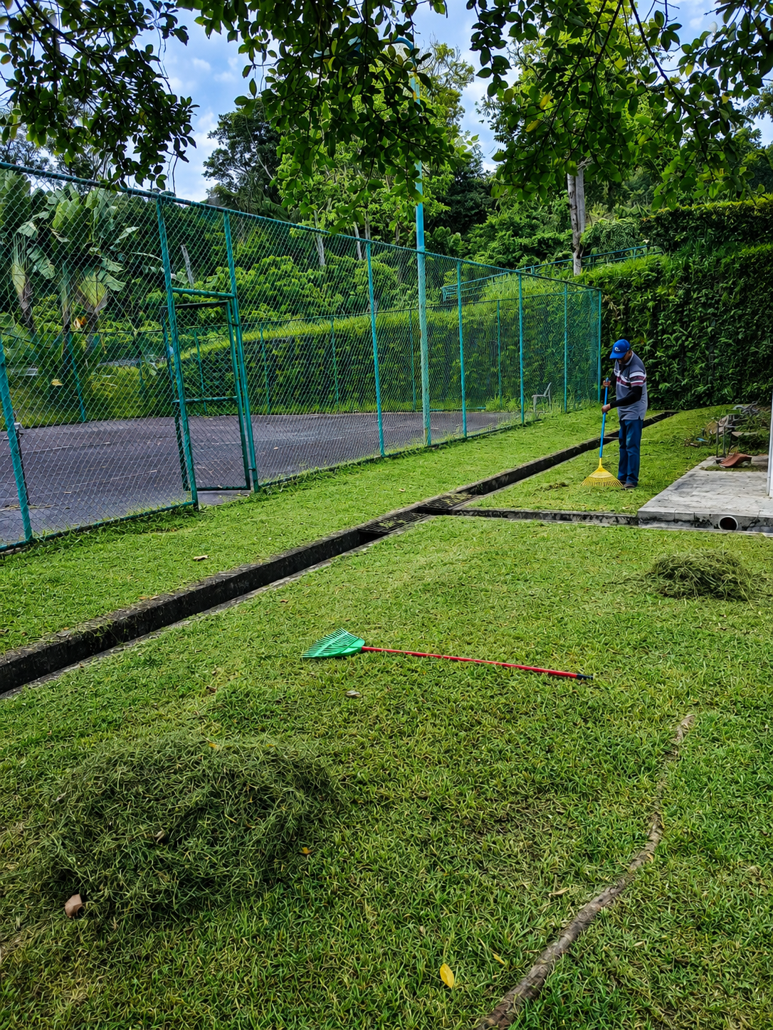 Tree Cutting & Cleaning Work 01