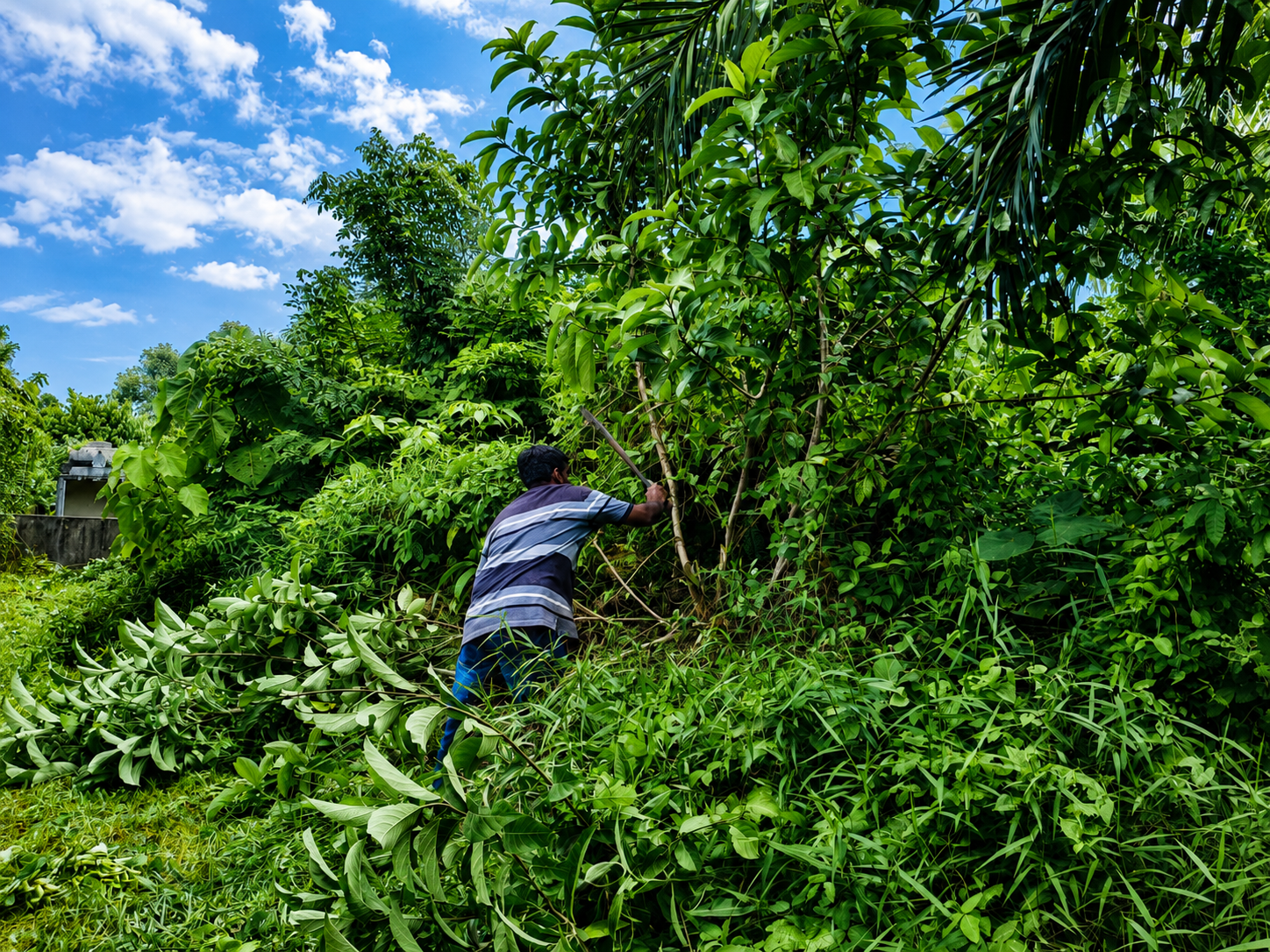 Tree Cutting & Cleaning Works