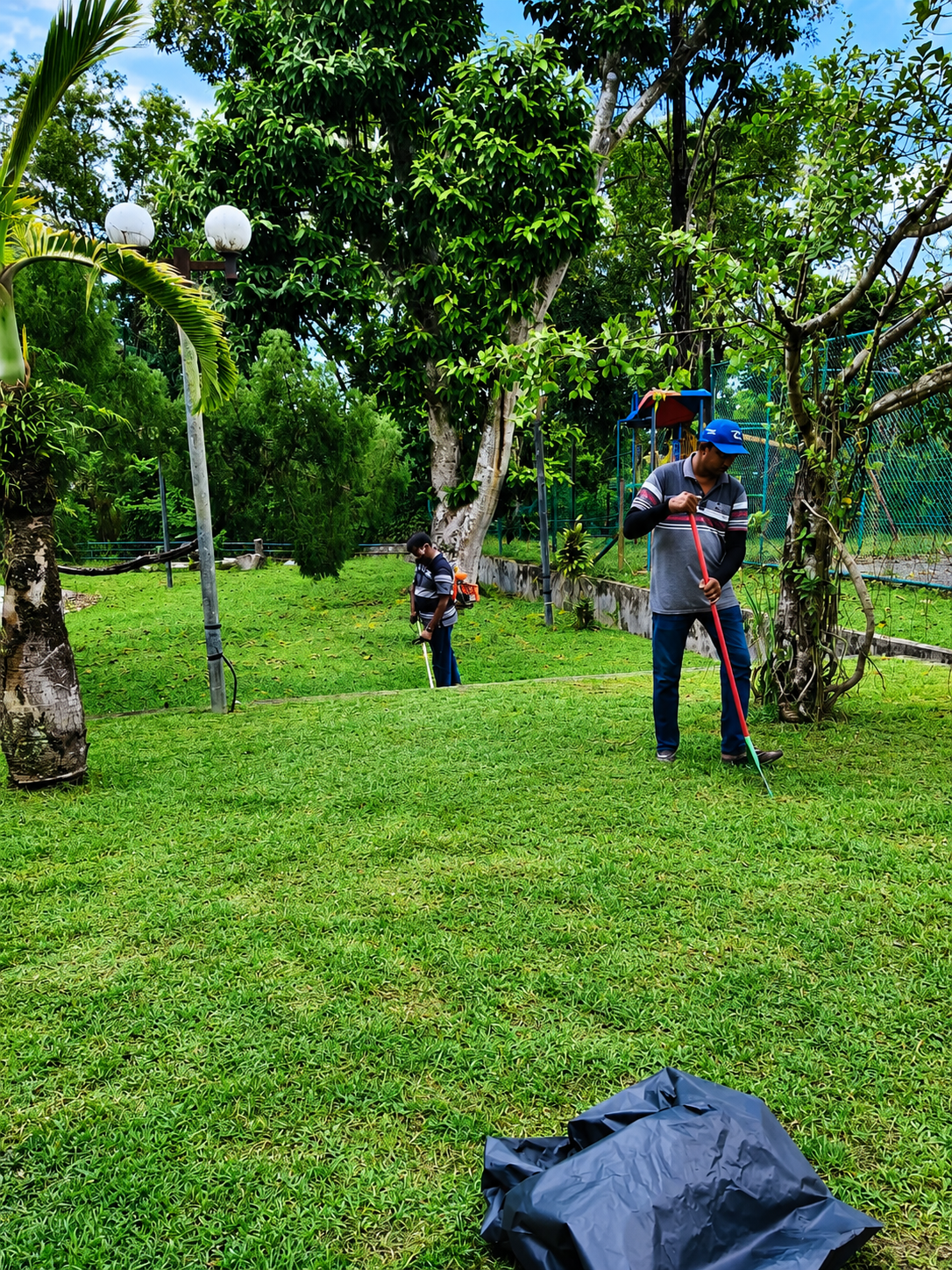 Tree Cutting & Cleaning Work 07