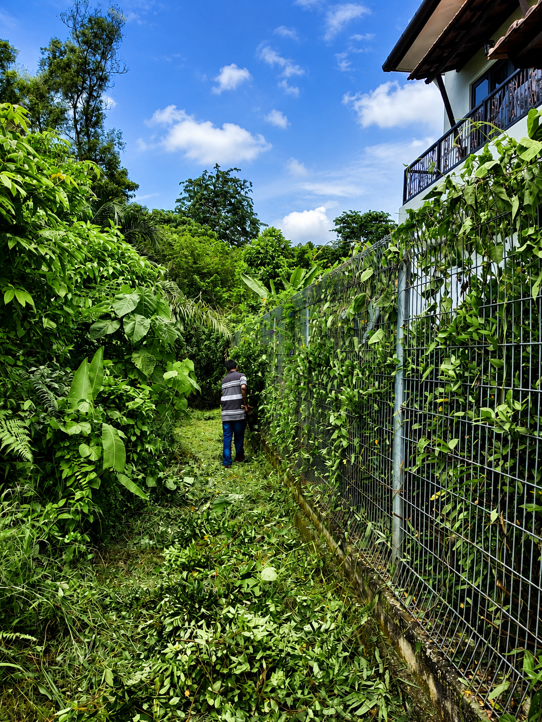 Tree Cutting & Cleaning Work 03